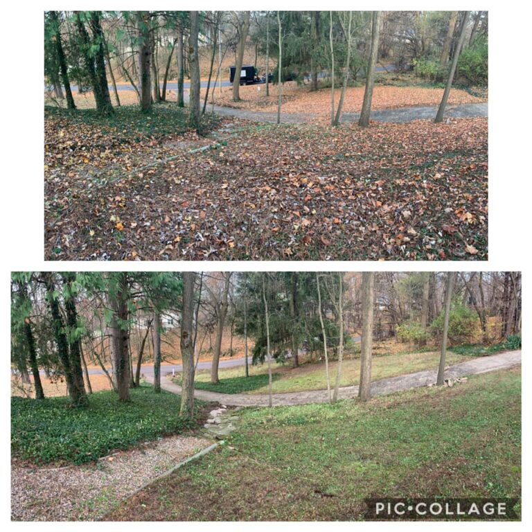 LEAF CLEANUP