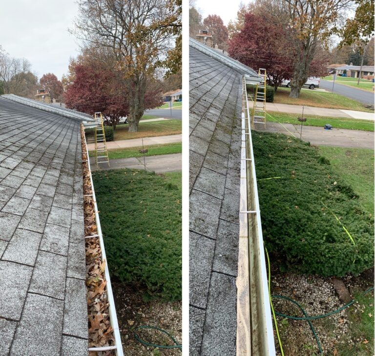 Gutter Cleaning